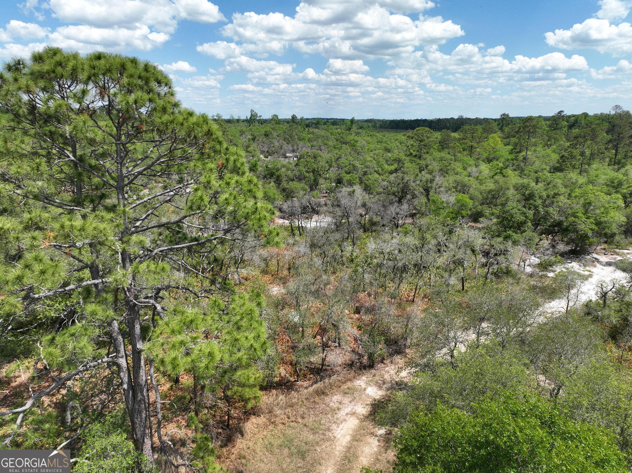 8 Old Highway 46 (24.84 Ac) Twin City GA 30471