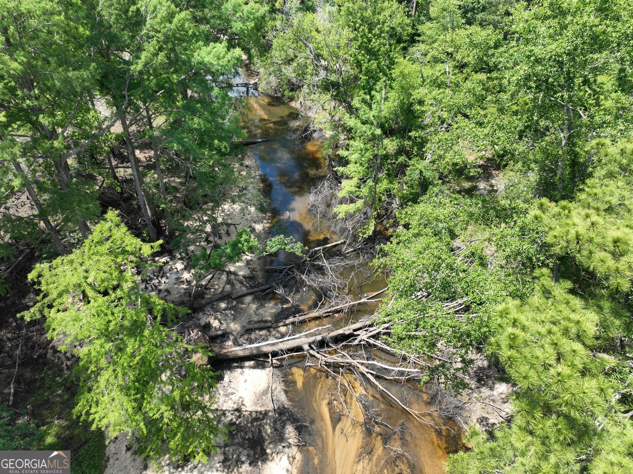 8 Old Highway 46 (24.84 Ac) Twin City GA 30471