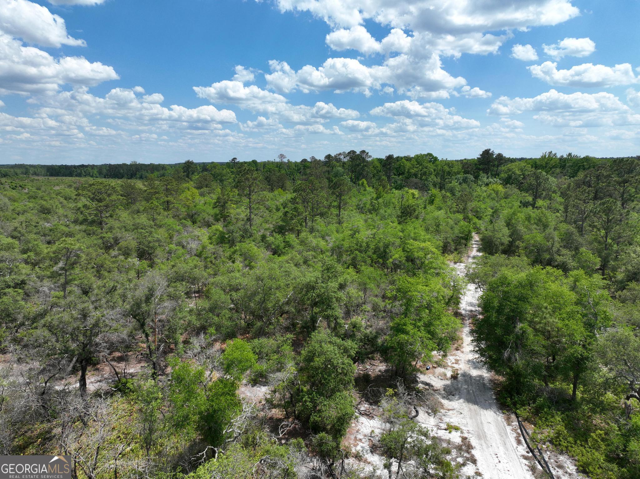 8 Old Highway 46 (24.84 Ac) Twin City GA 30471