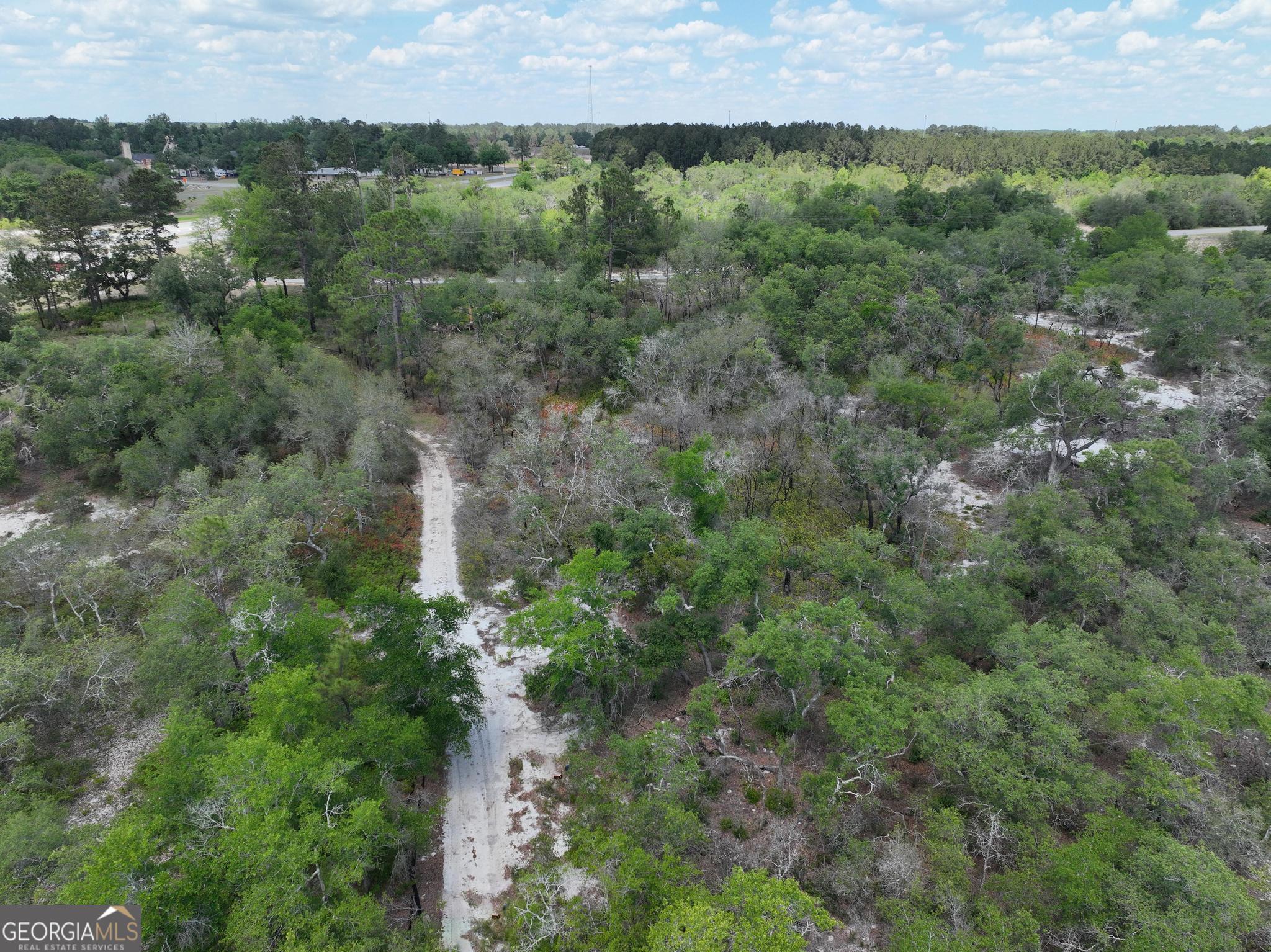 8 Old Highway 46 (24.84 Ac) Twin City GA 30471