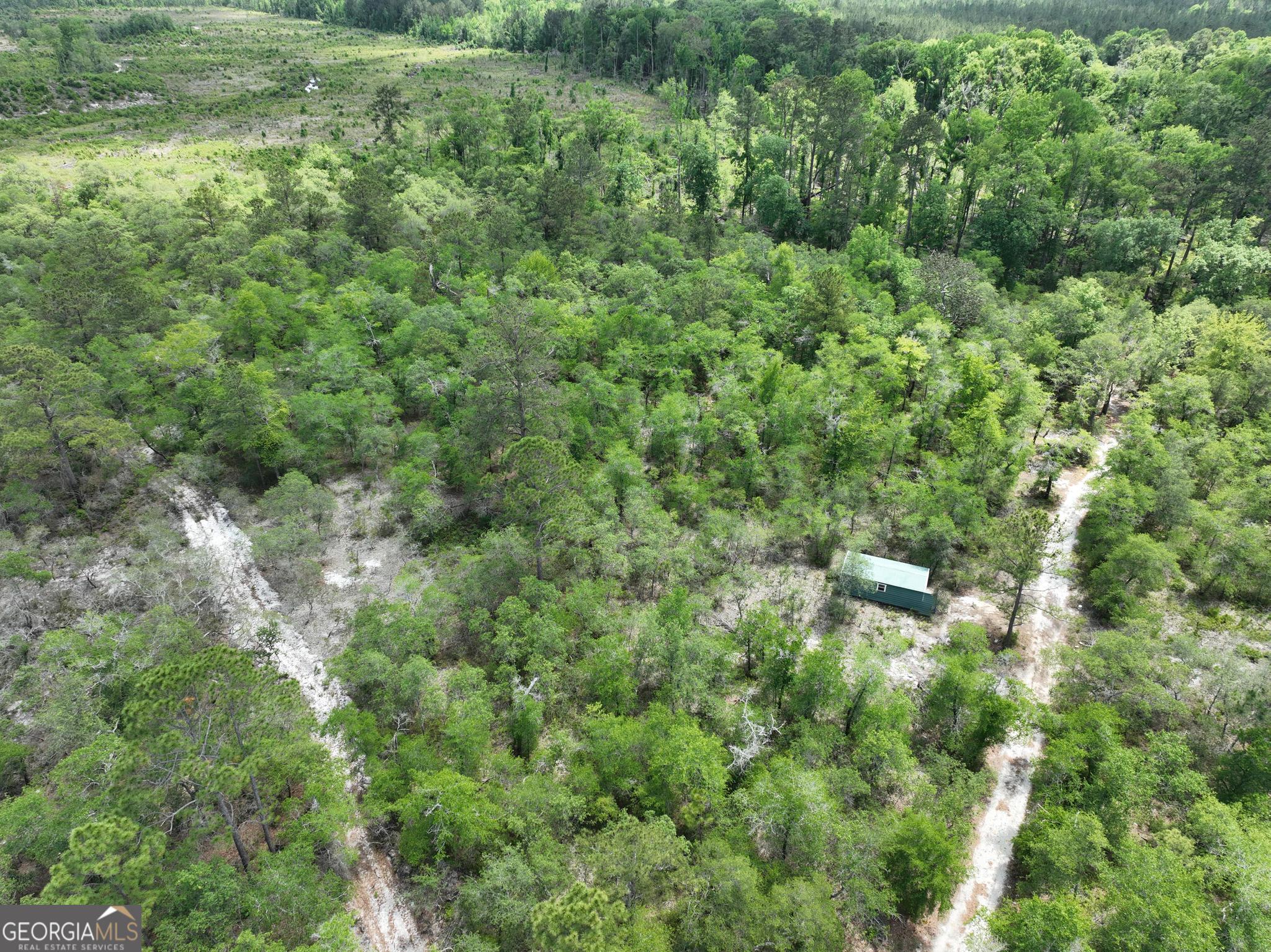 8 Old Highway 46 (24.84 Ac) Twin City GA 30471