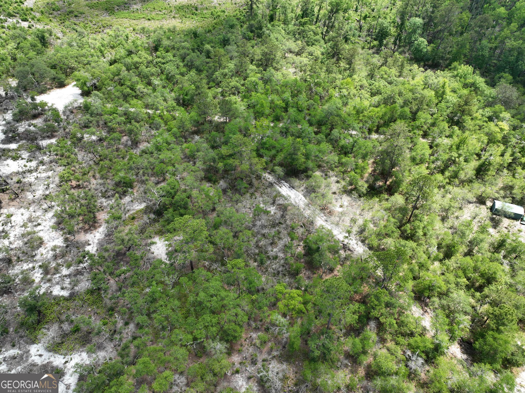 8 Old Highway 46 (24.84 Ac) Twin City GA 30471