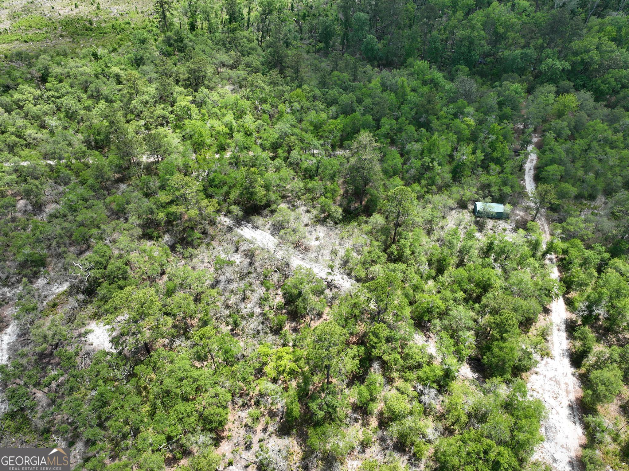 8 Old Highway 46 (24.84 Ac) Twin City GA 30471