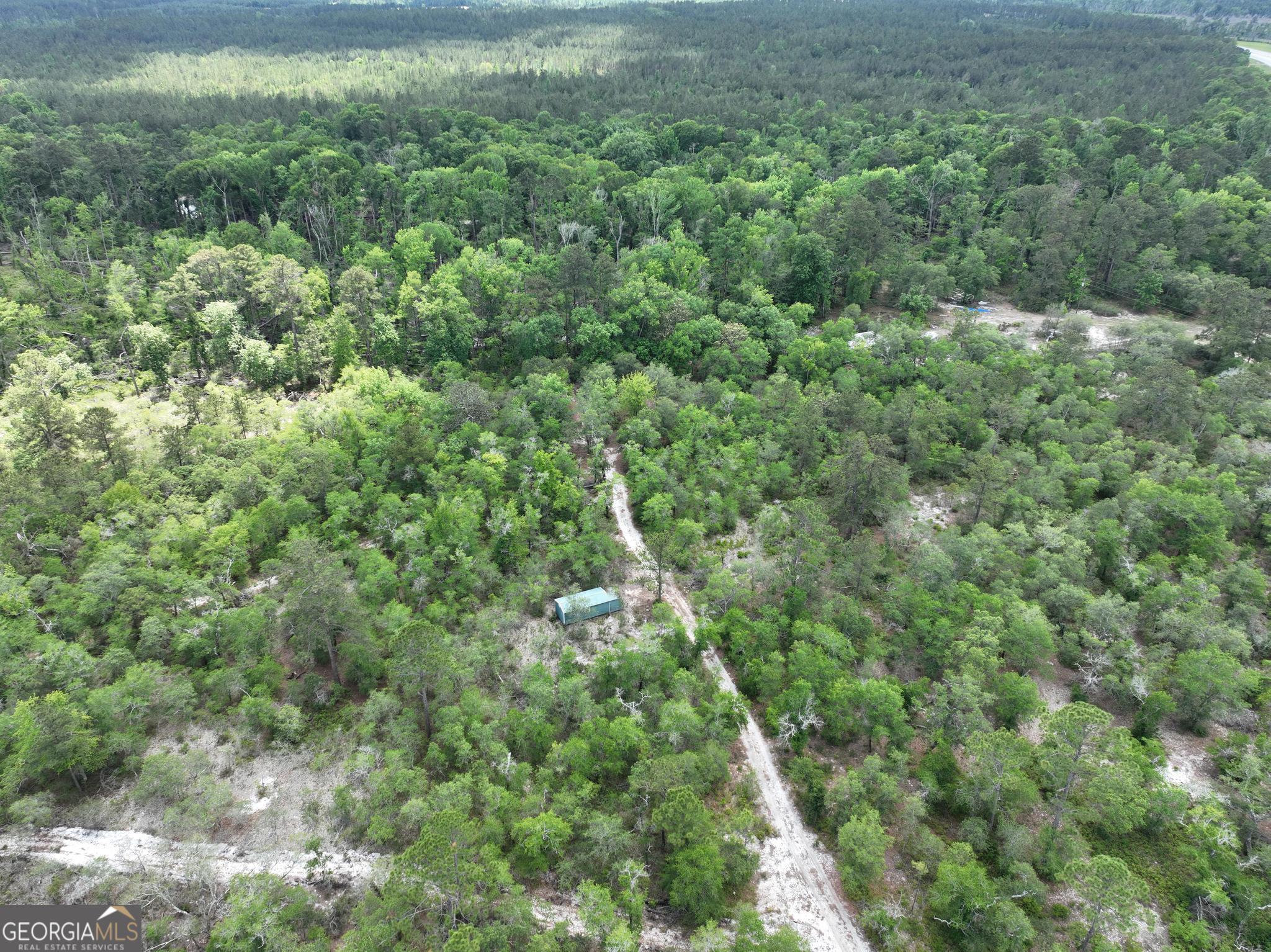 8 Old Highway 46 (24.84 Ac) Twin City GA 30471
