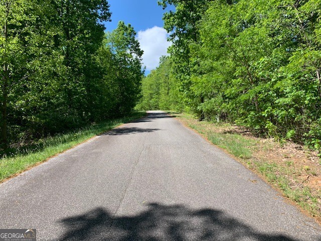 Lot 4 Morgan Ridge Drive Young Harris GA 30582