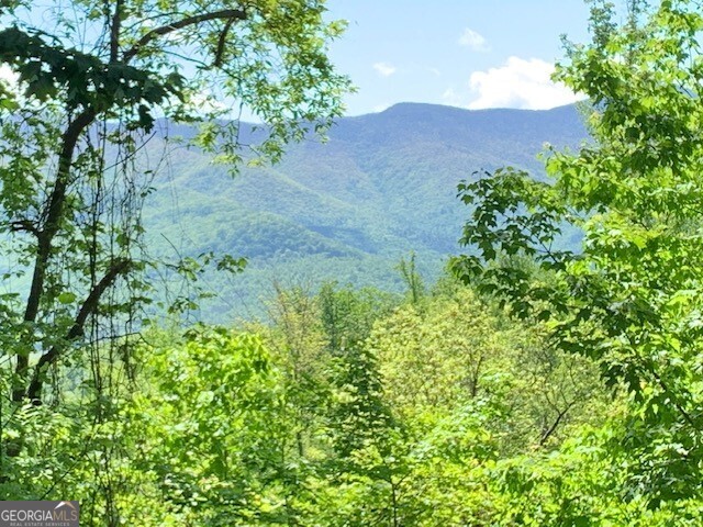 Lot 4 Morgan Ridge Drive Young Harris GA 30582