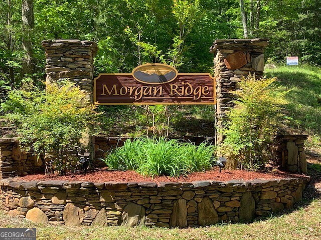 Lot 4 Morgan Ridge Drive Young Harris GA 30582