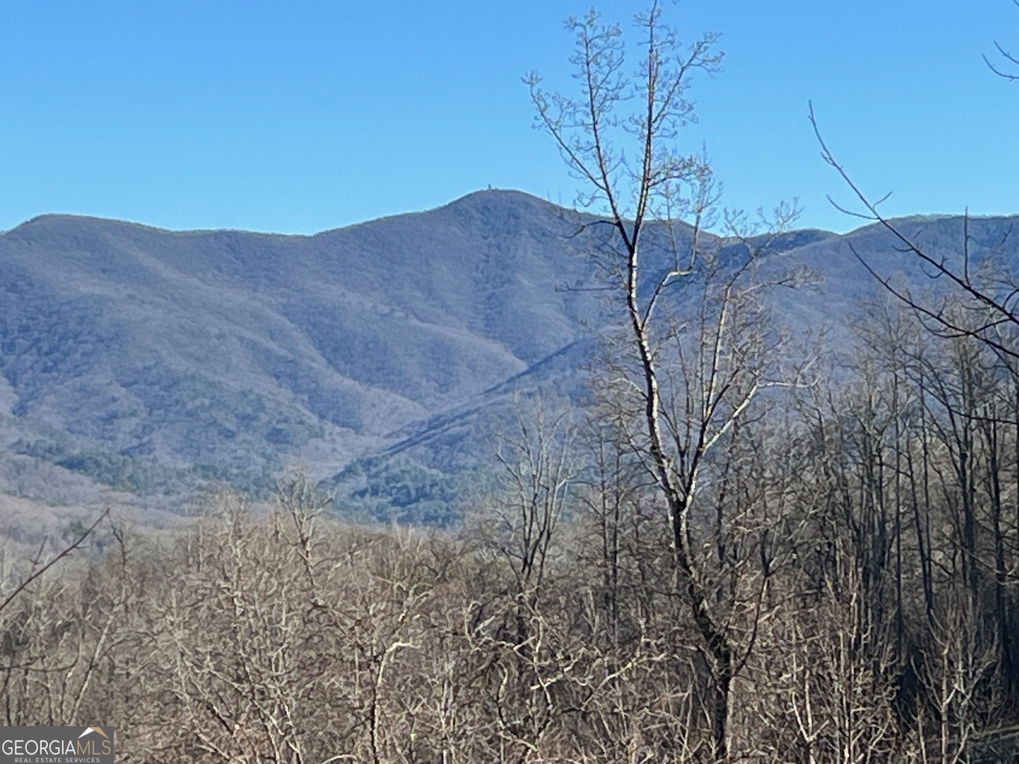Lot 4 Morgan Ridge Drive Young Harris GA 30582