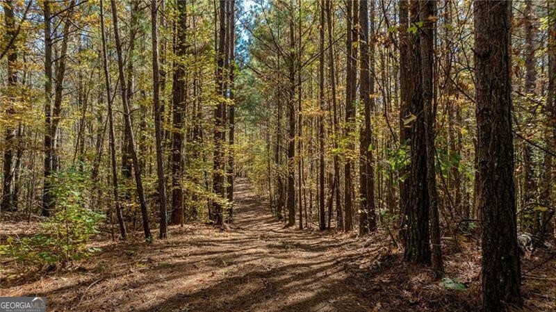 0 Jones Ferry Road Chattahoochee Hills GA 30268