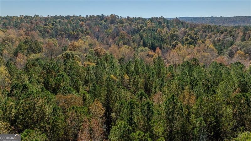 0 Jones Ferry Road Chattahoochee Hills GA 30268
