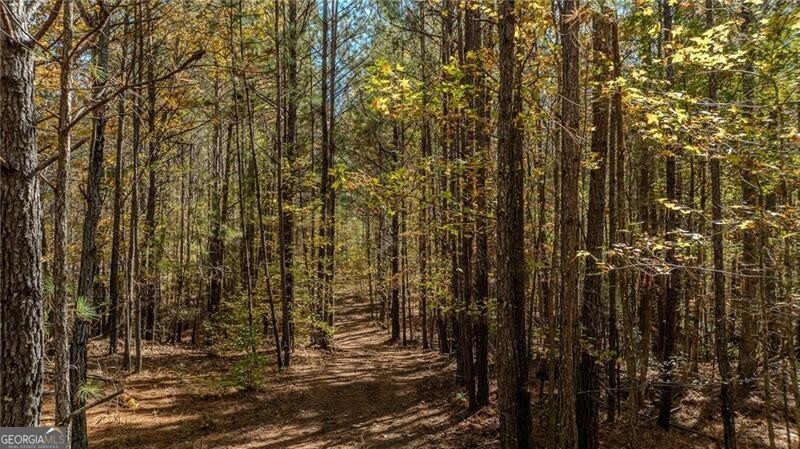 0 Jones Ferry Road Chattahoochee Hills GA 30268