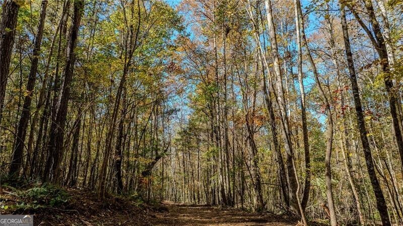 0 Jones Ferry Road Chattahoochee Hills GA 30268