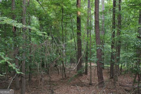 3 Mount Moriah Road Auburn GA 30011