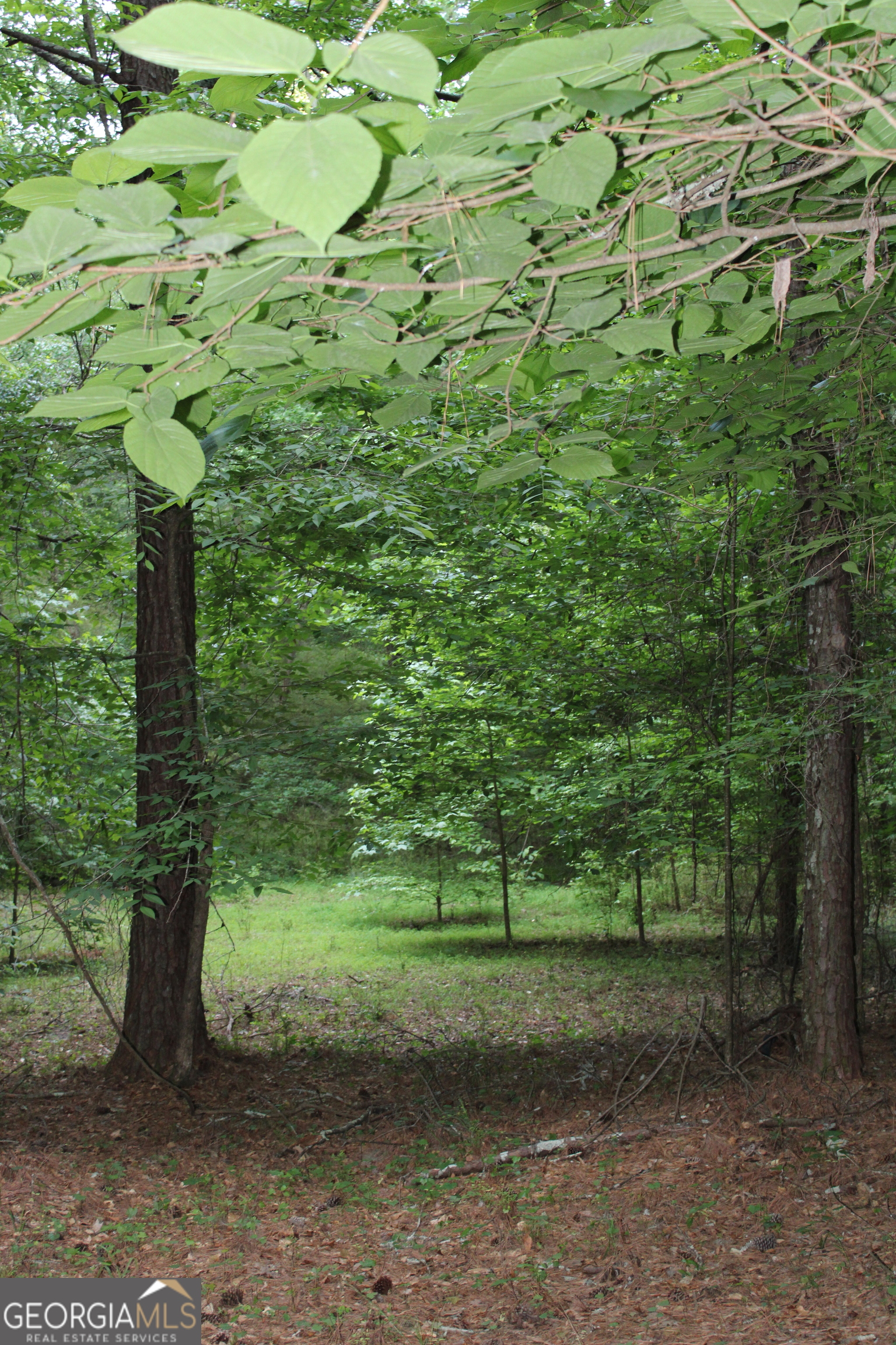 3 Mount Moriah Road Auburn GA 30011