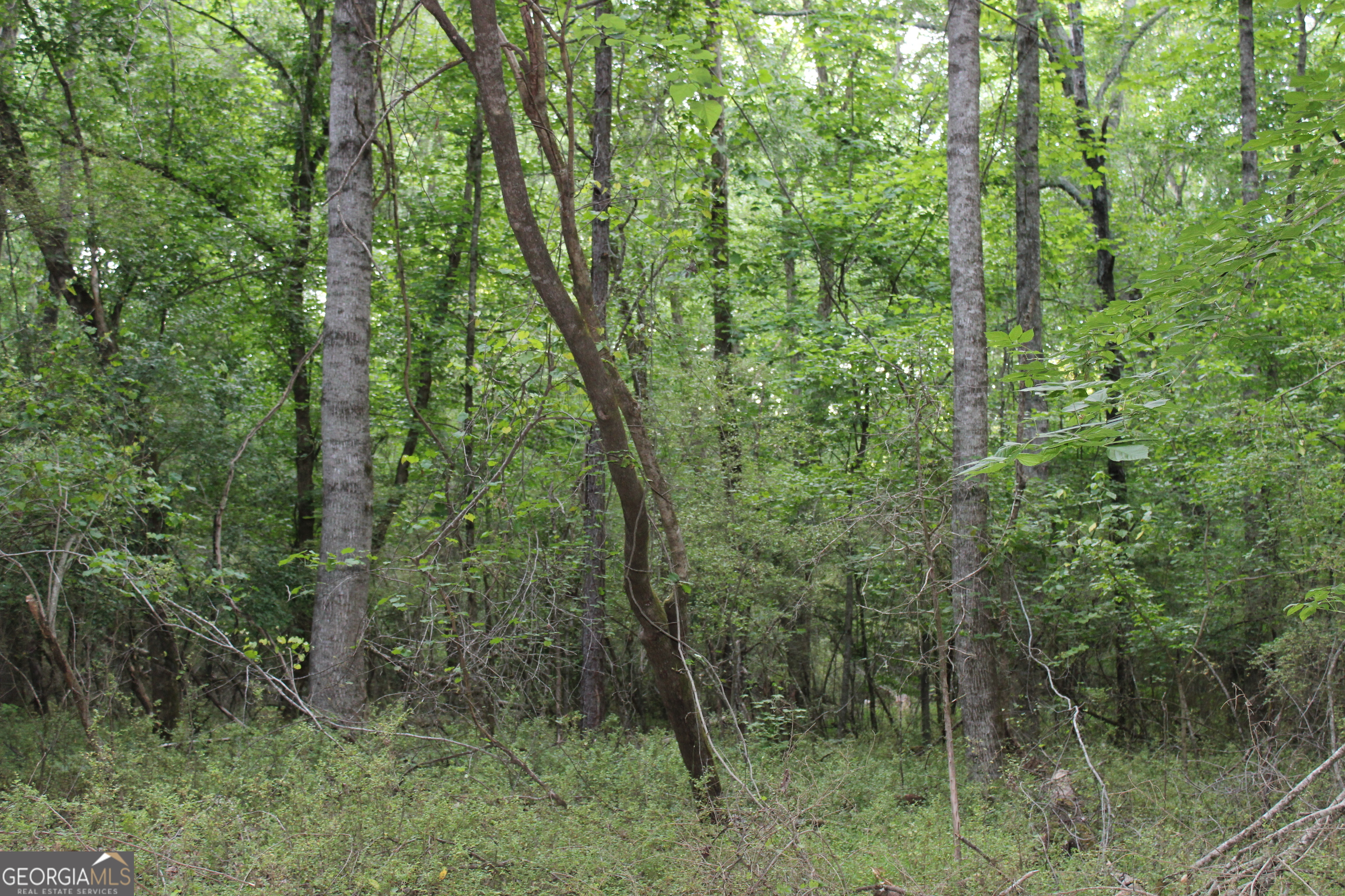 3 Mount Moriah Road Auburn GA 30011