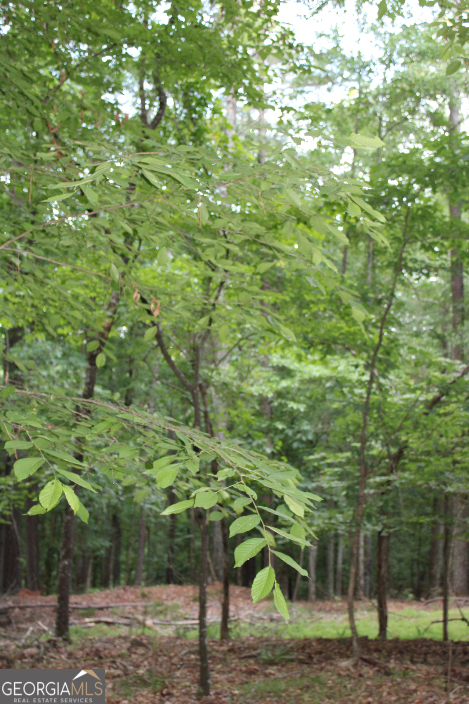 3 Mount Moriah Road Auburn GA 30011