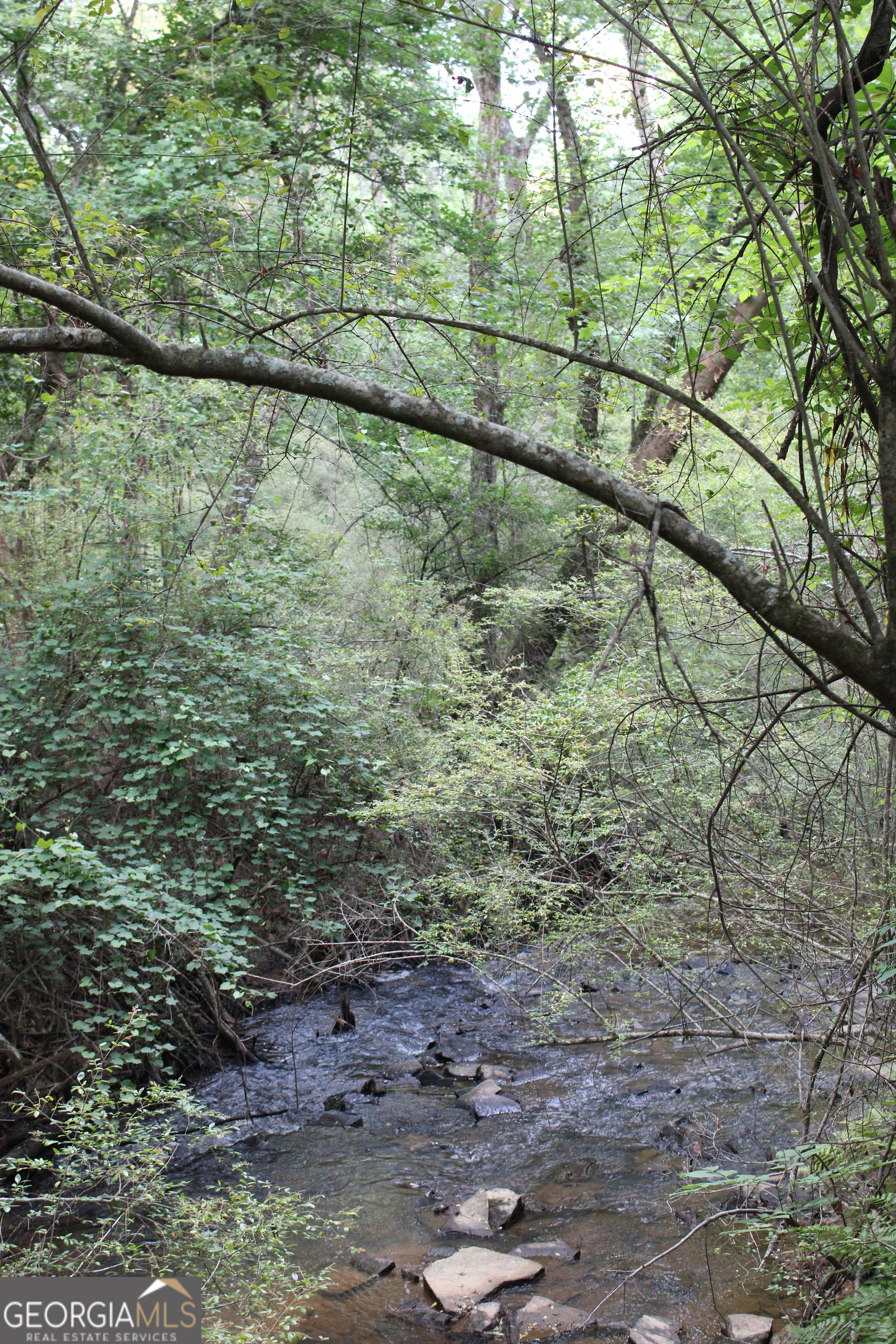 3 Mount Moriah Road Auburn GA 30011