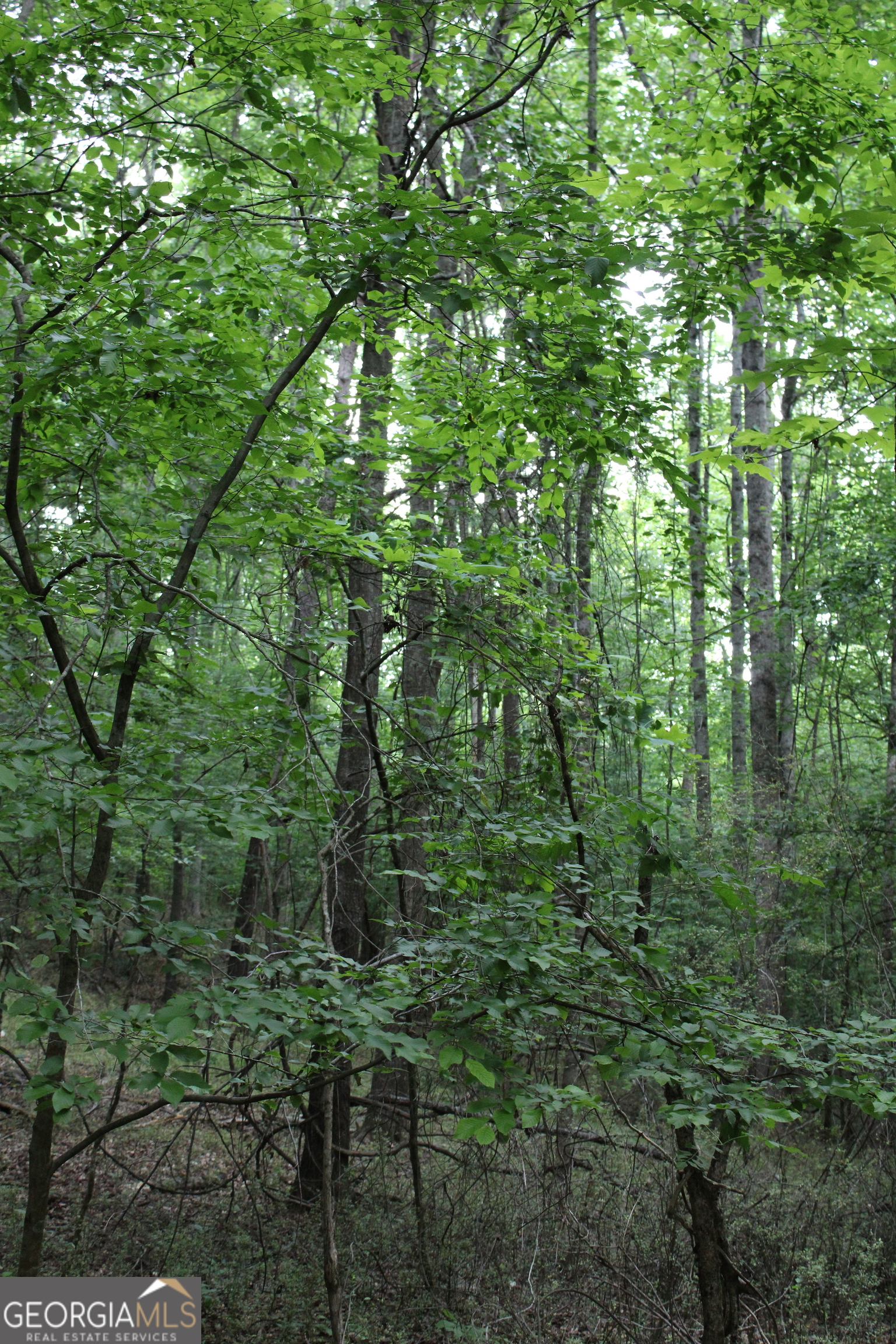 3 Mount Moriah Road Auburn GA 30011