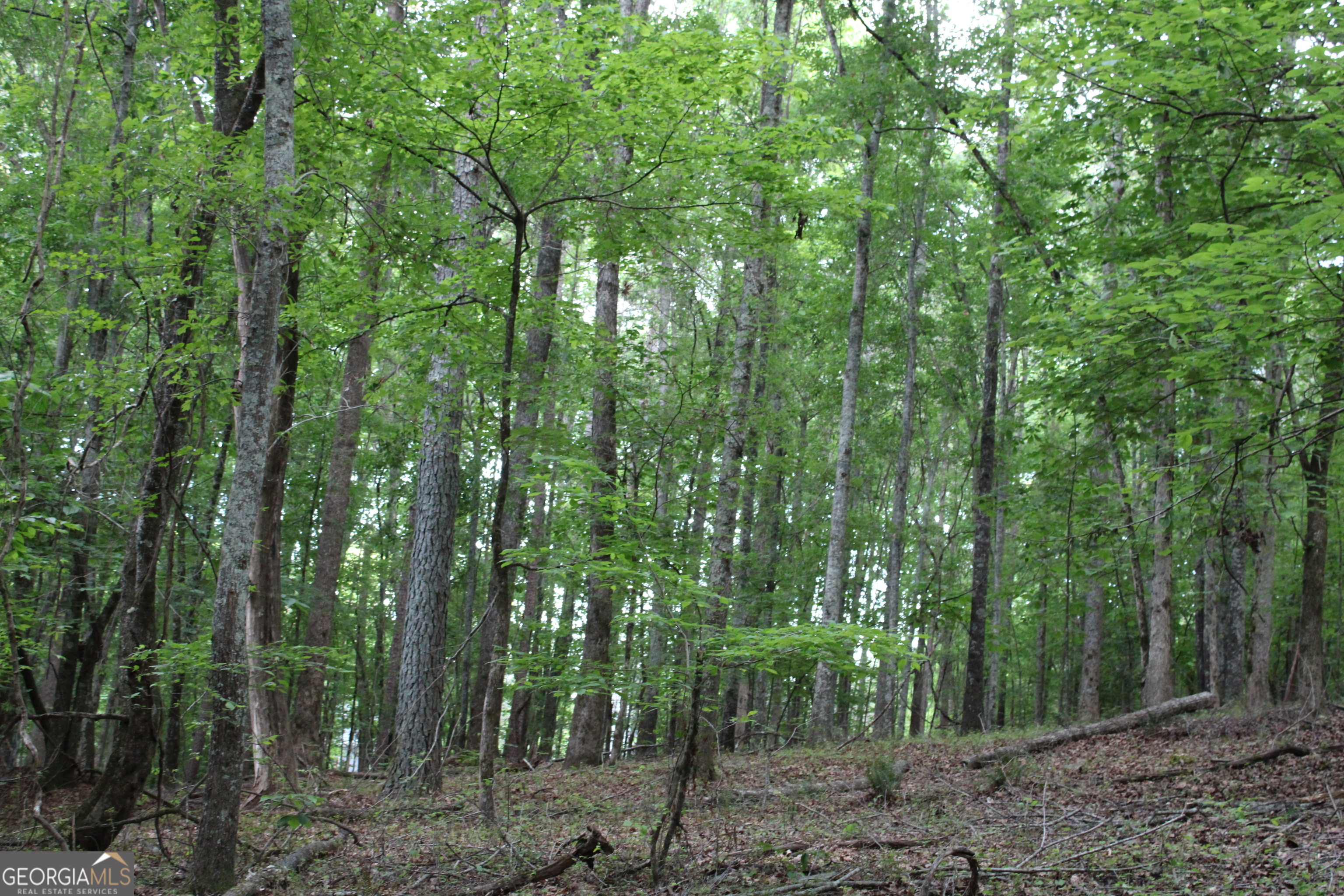 3 Mount Moriah Road Auburn GA 30011