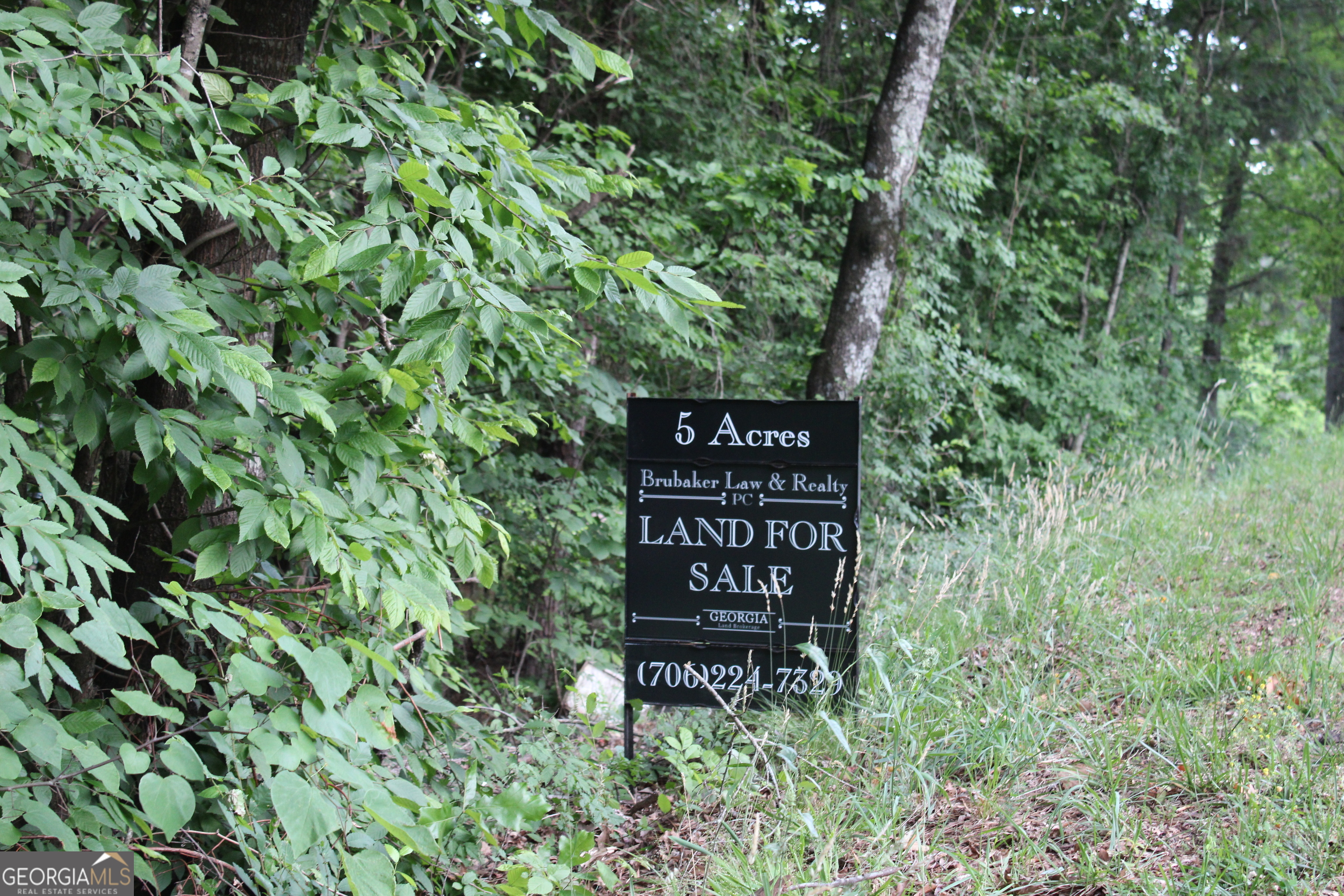 3 Mount Moriah Road Auburn GA 30011