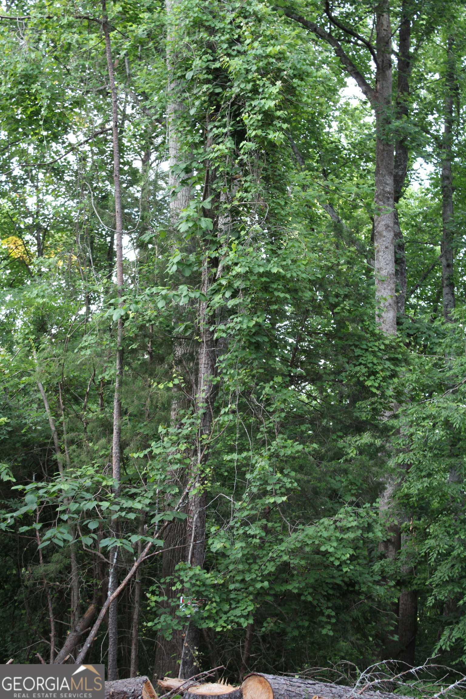 3 Mount Moriah Road Auburn GA 30011