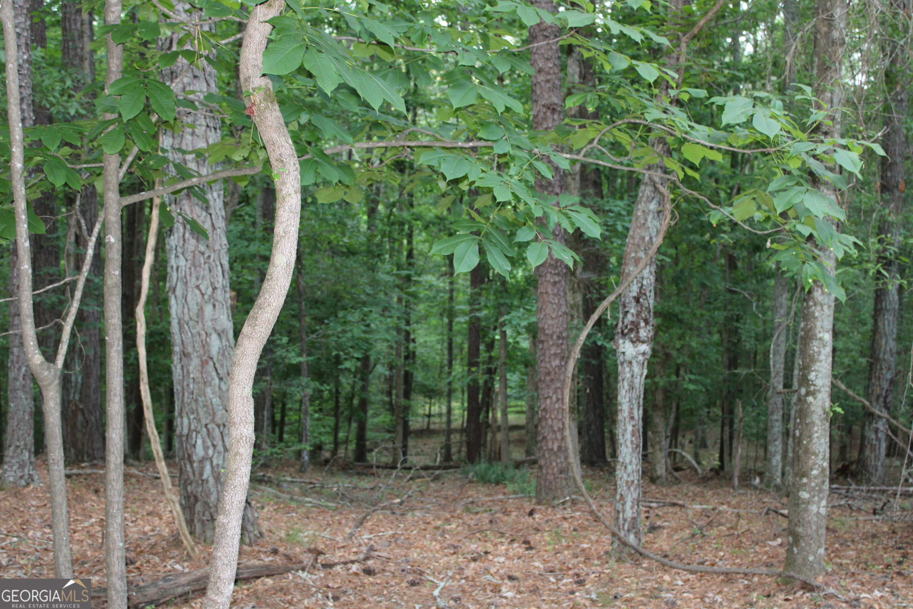 3 Mount Moriah Road Auburn GA 30011