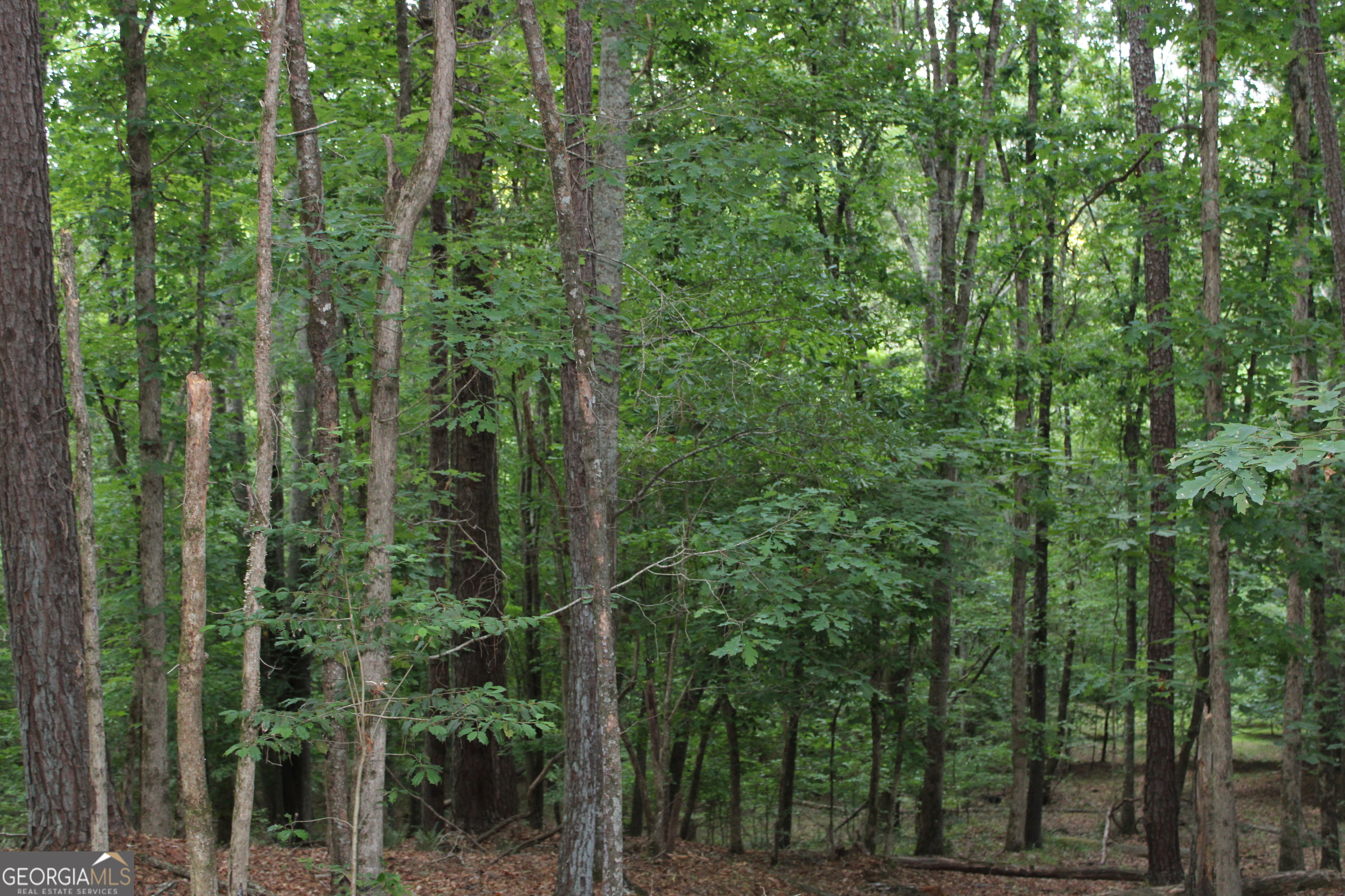 3 Mount Moriah Road Auburn GA 30011