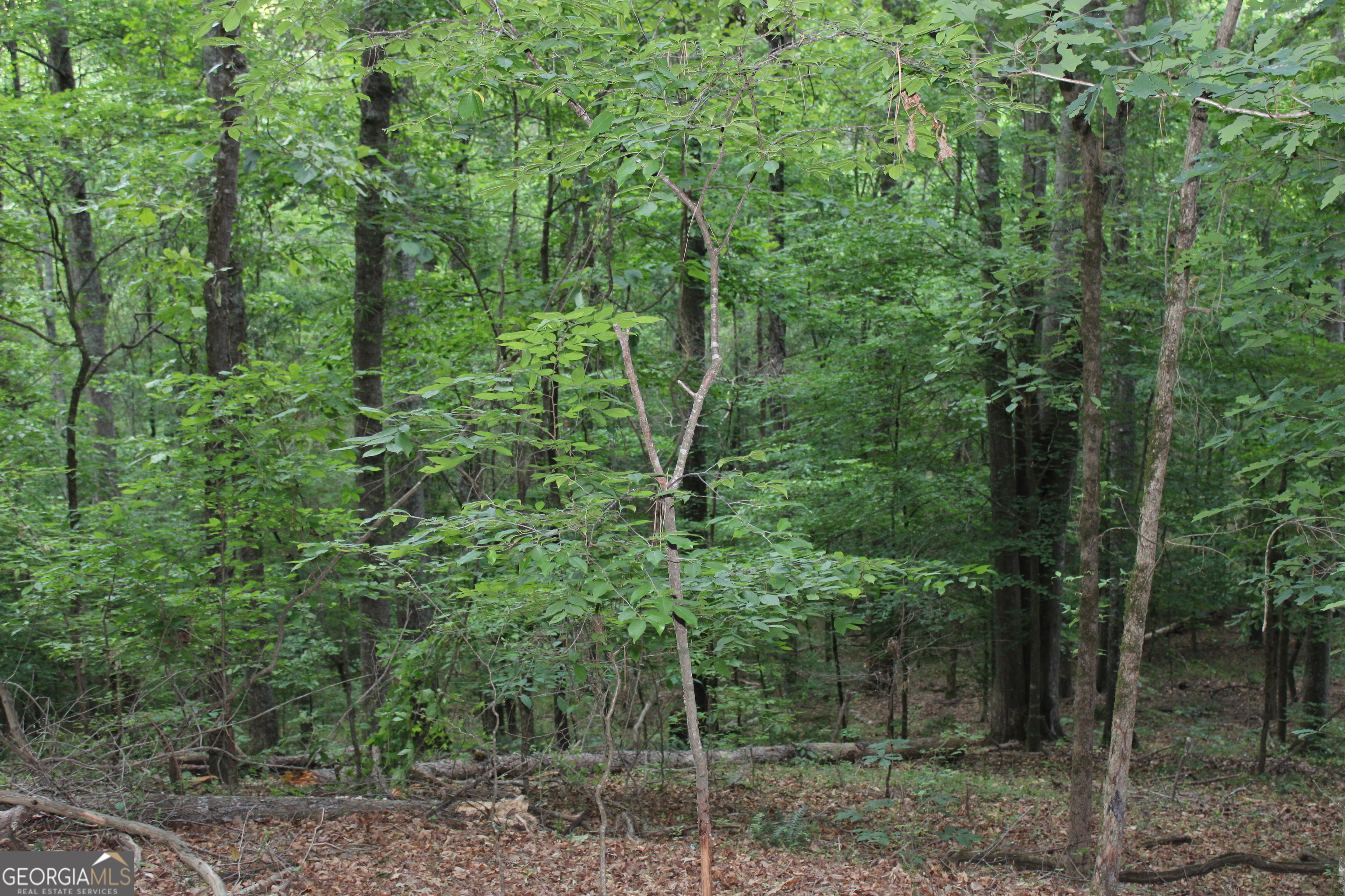 3 Mount Moriah Road Auburn GA 30011