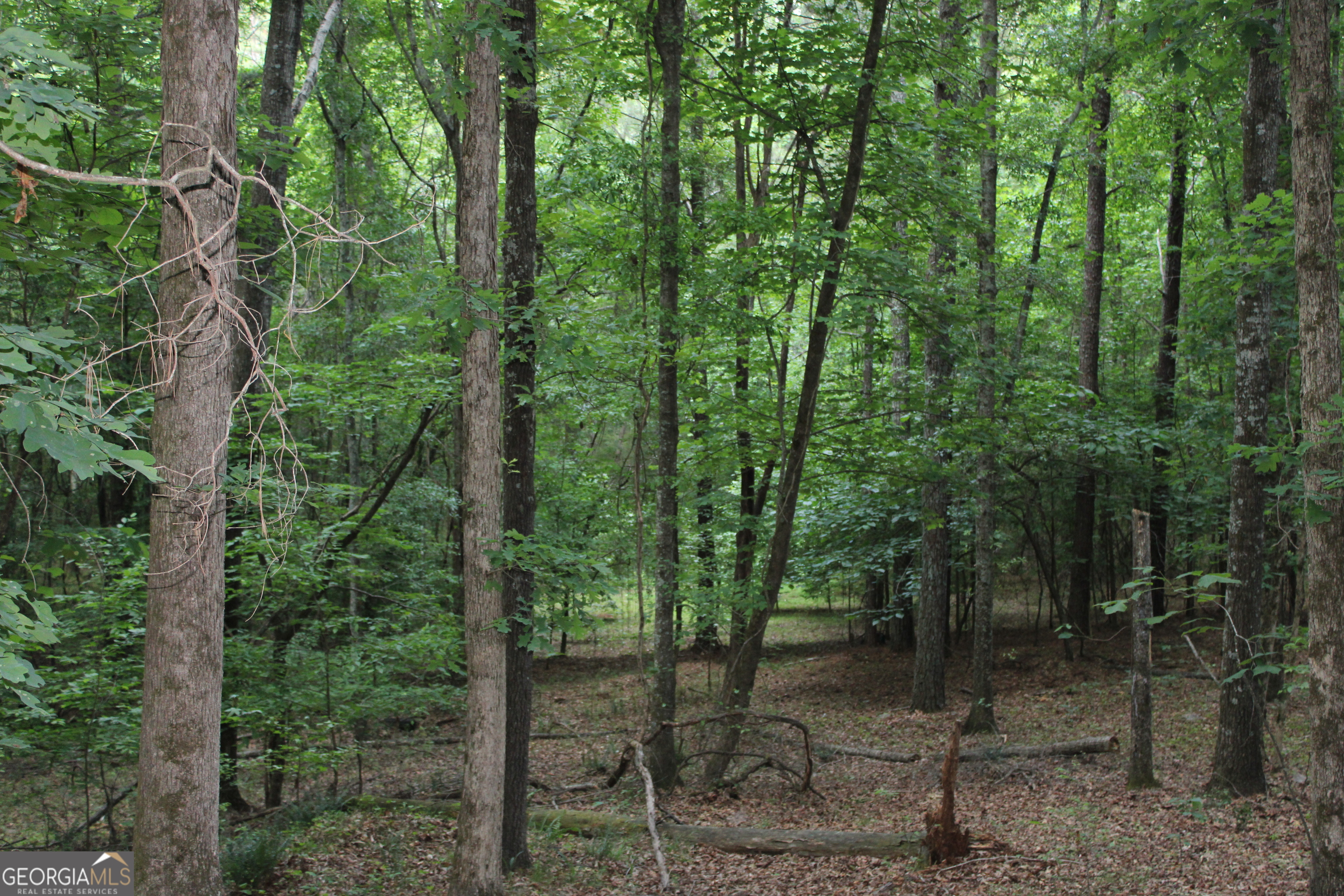 3 Mount Moriah Road Auburn GA 30011