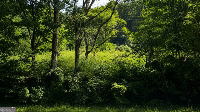 Lot 40 Shattuck Industrial Boulevard La Fayette GA 30728