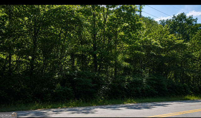 Lot 40 Shattuck Industrial Boulevard La Fayette GA 30728