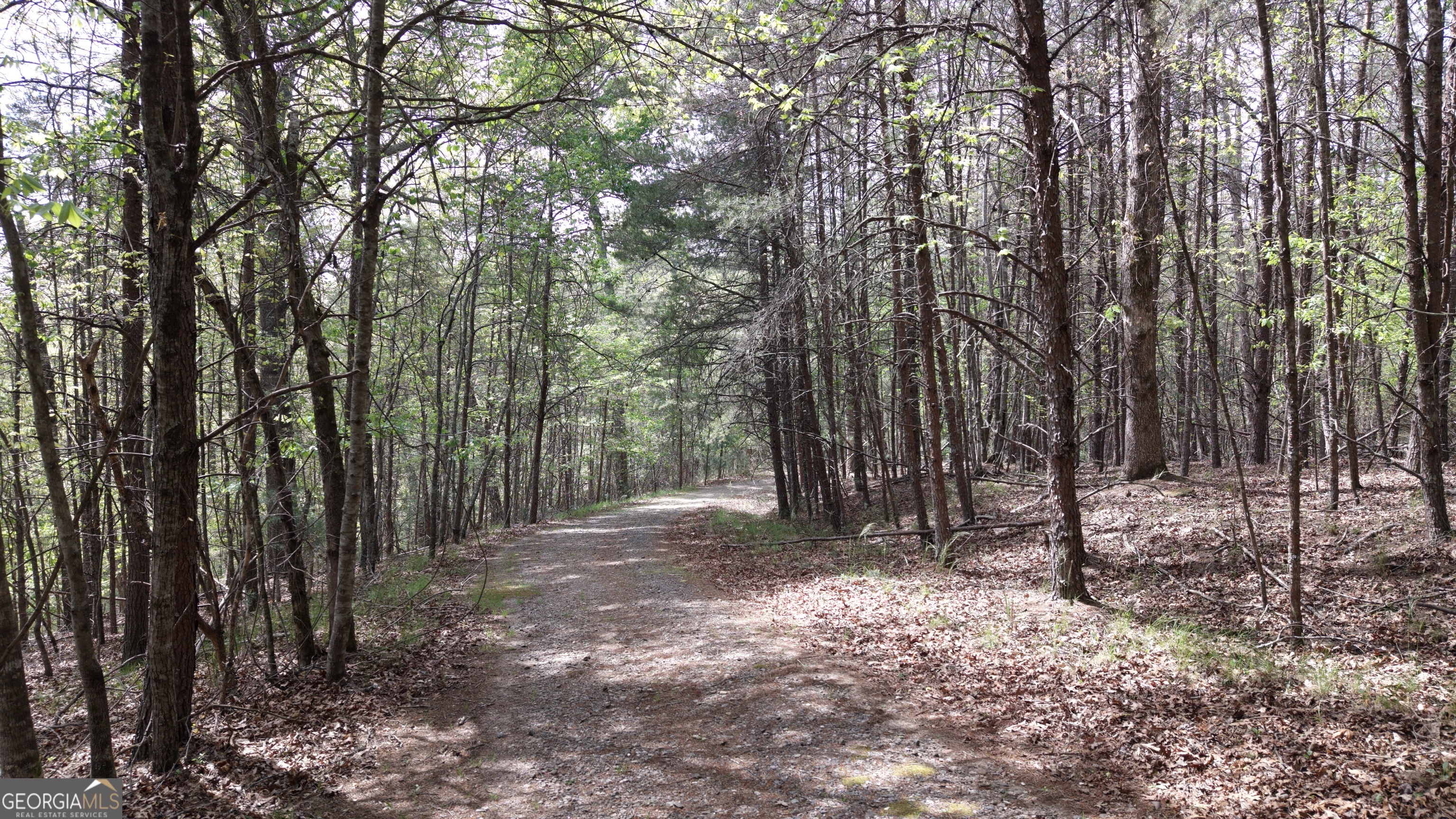 Lot 20 Horseshoe Bend Road Dahlonega GA 30533