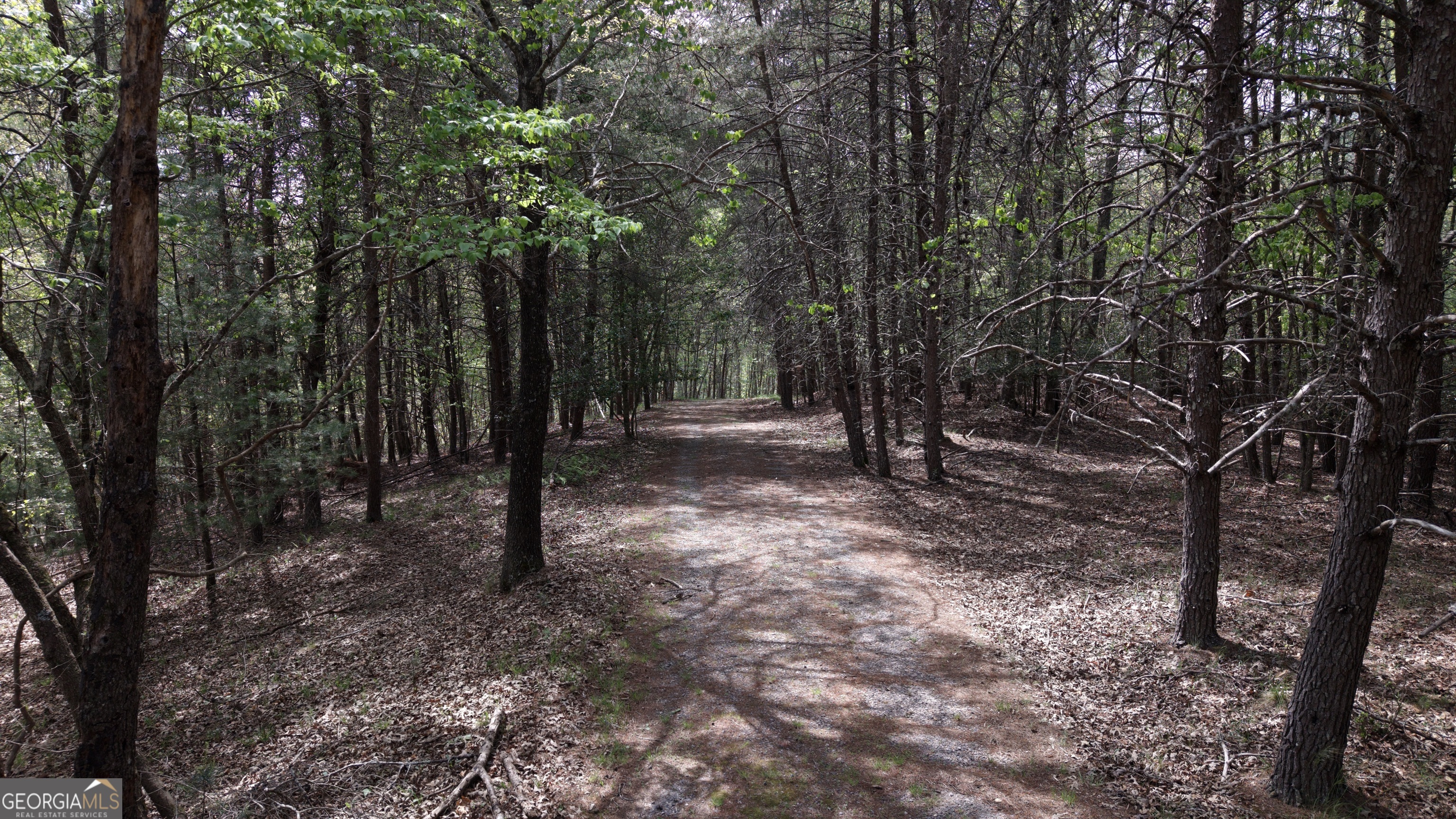 Lot 20 Horseshoe Bend Road Dahlonega GA 30533