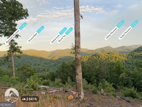 Tracts 8,9,10,1 Briarwood Lane Clayton GA 30525