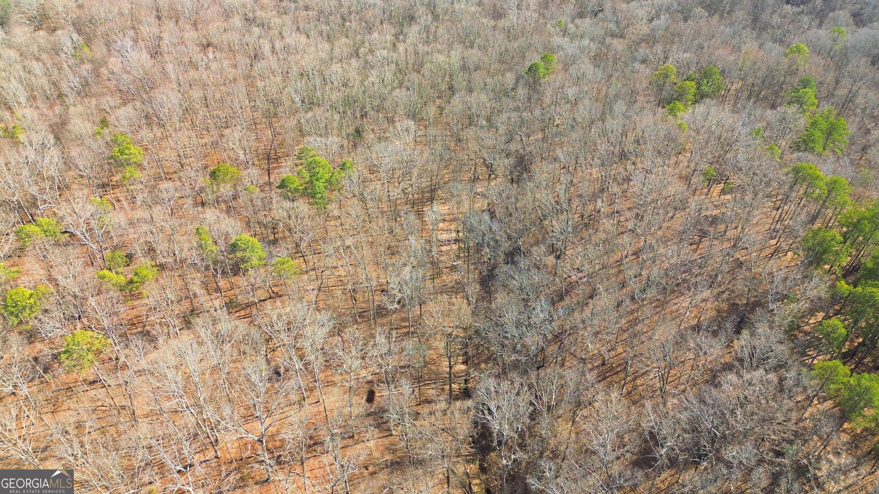0 Davis Road Eastanollee GA 30538