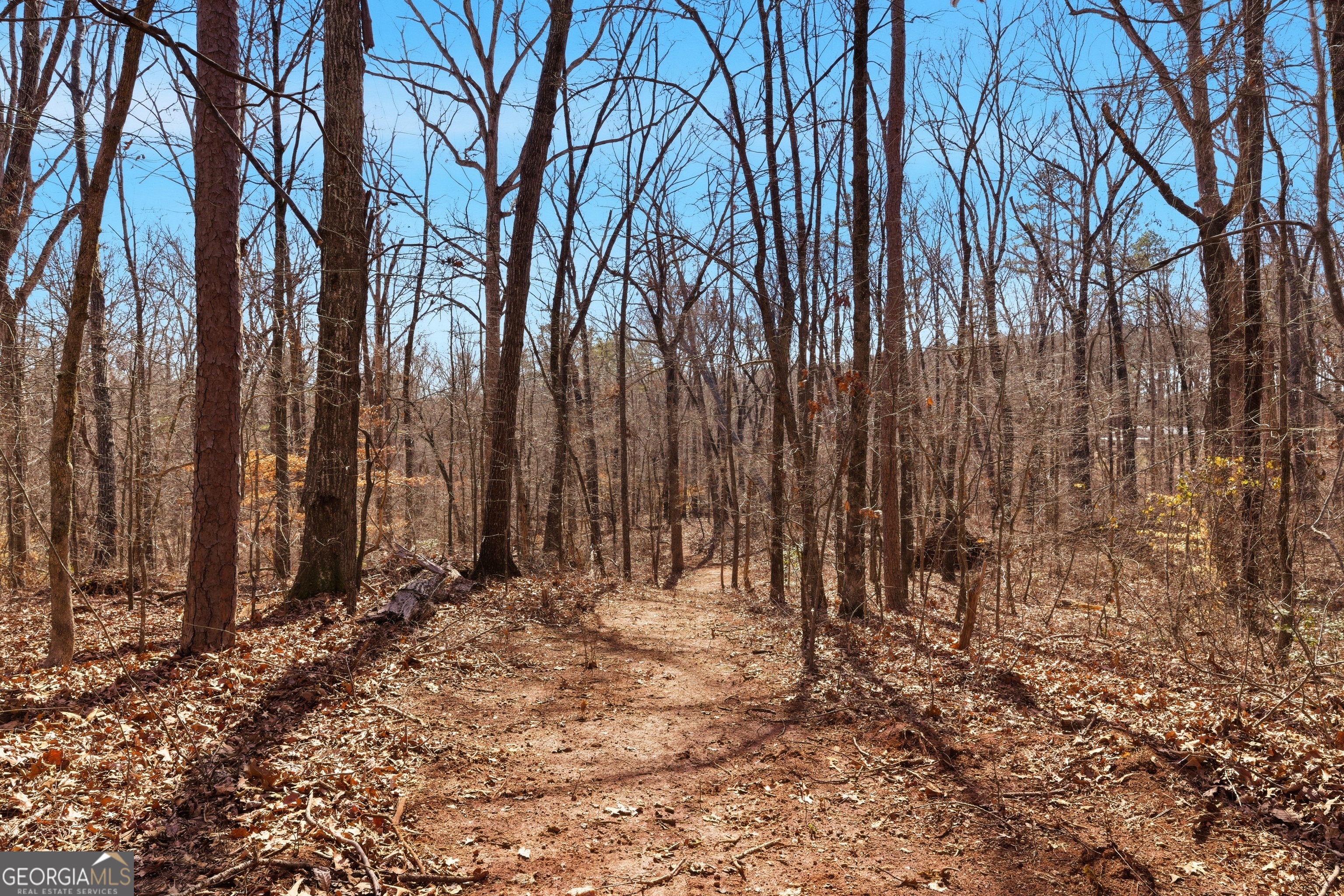 0 Davis Road Eastanollee GA 30538