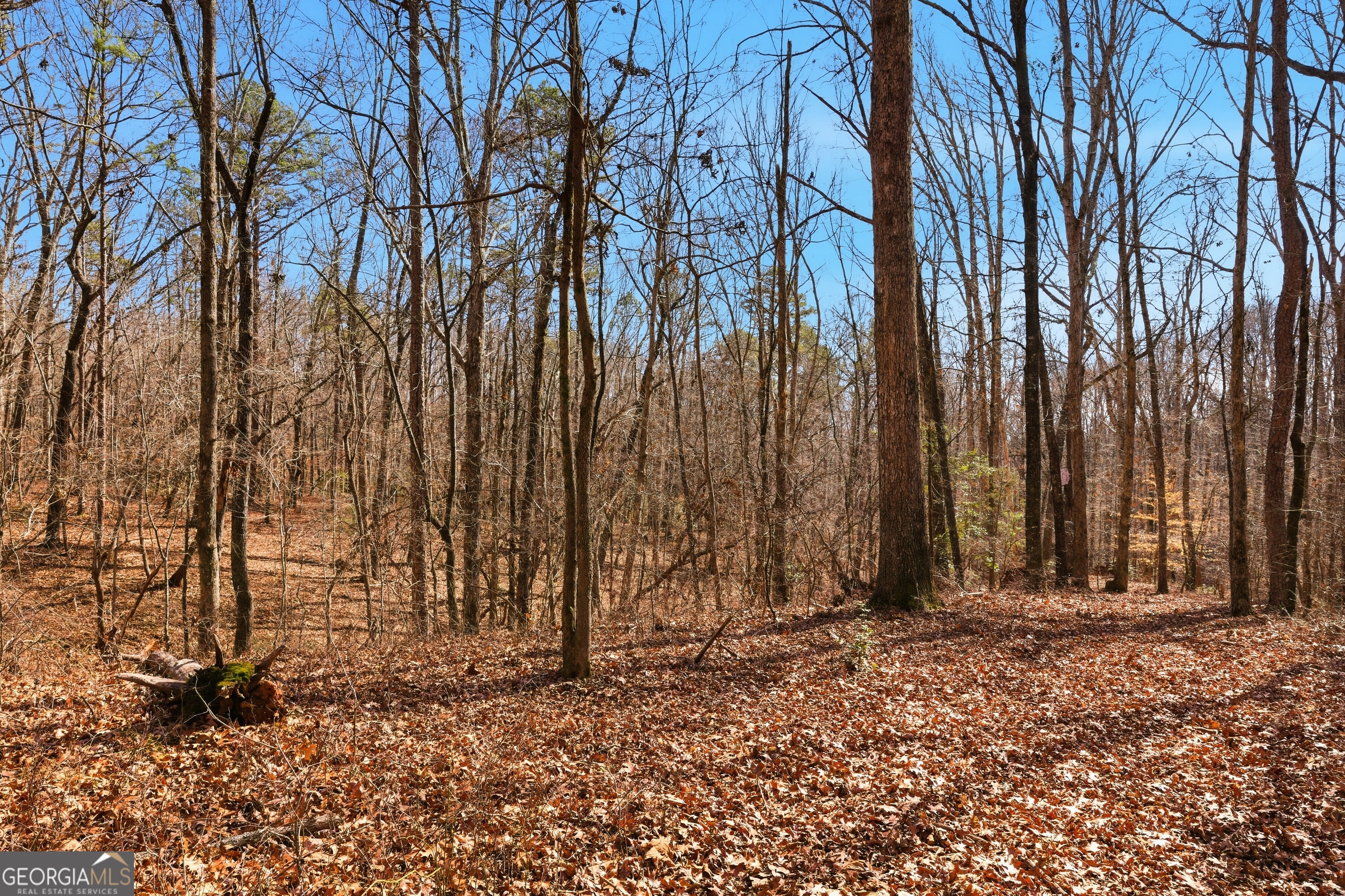 0 Davis Road Eastanollee GA 30538