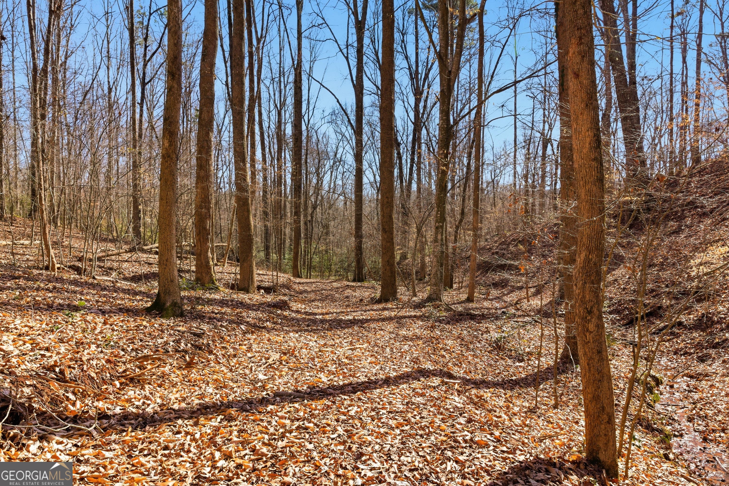 0 Davis Road Eastanollee GA 30538