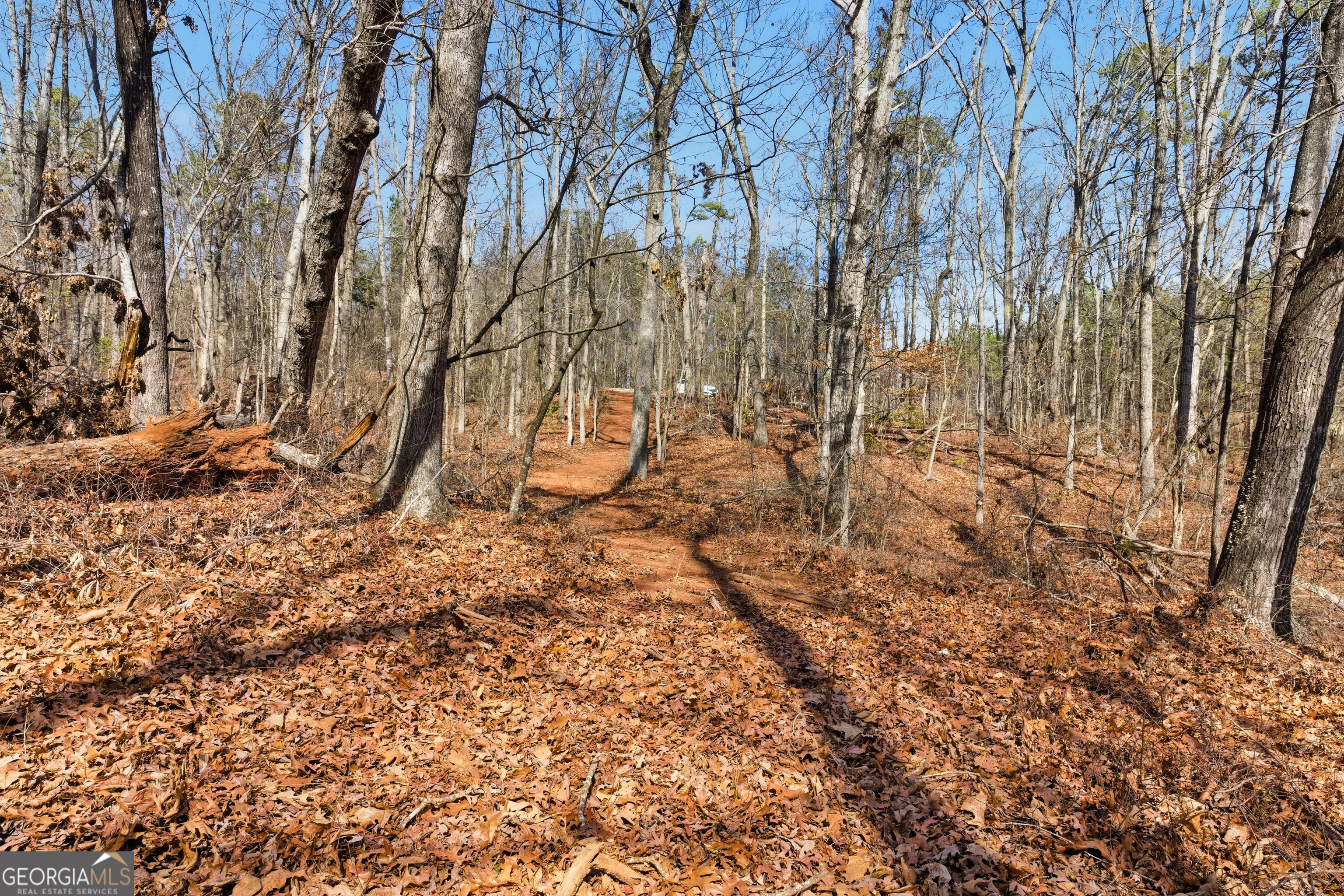 0 Davis Road Eastanollee GA 30538