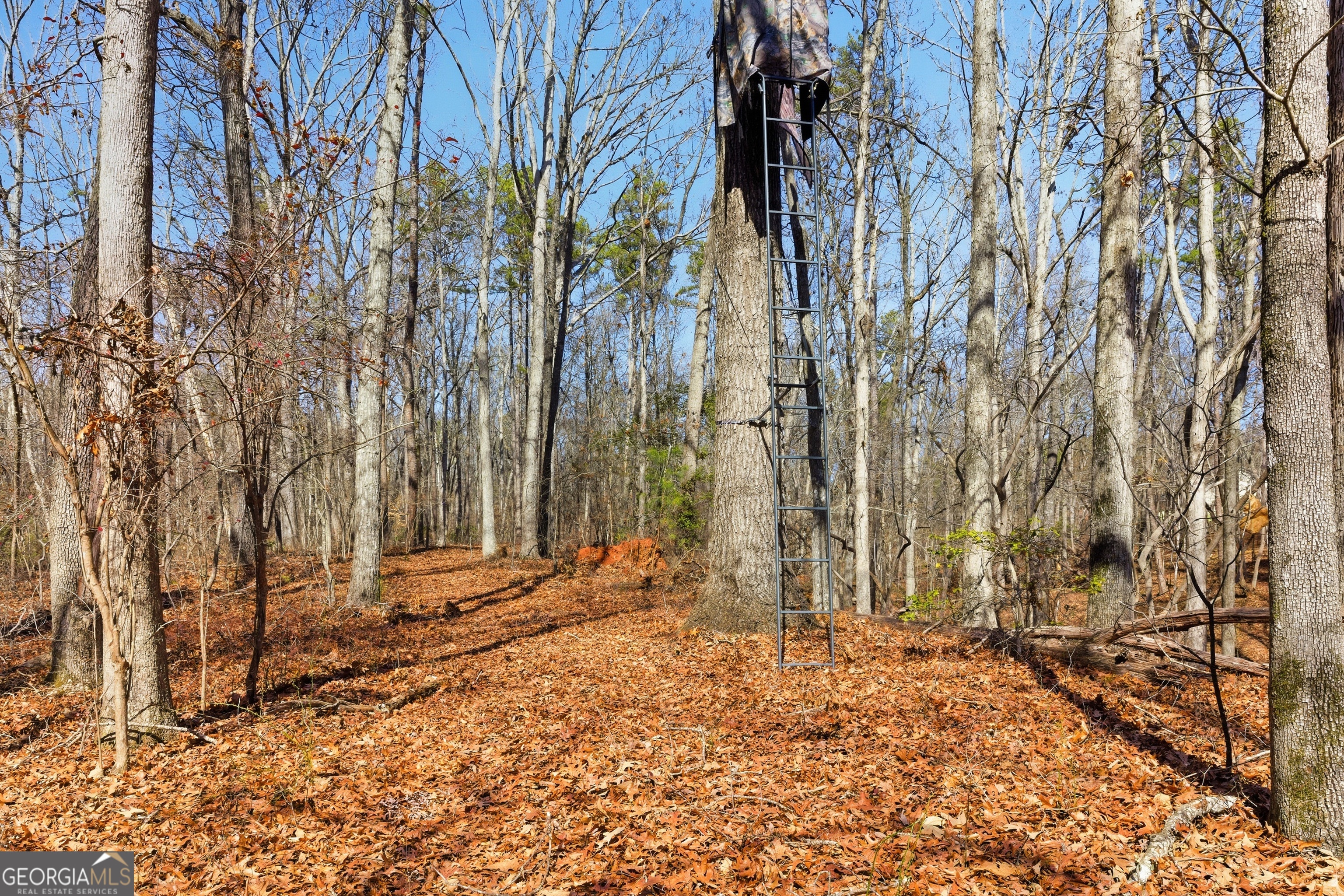 0 Davis Road Eastanollee GA 30538