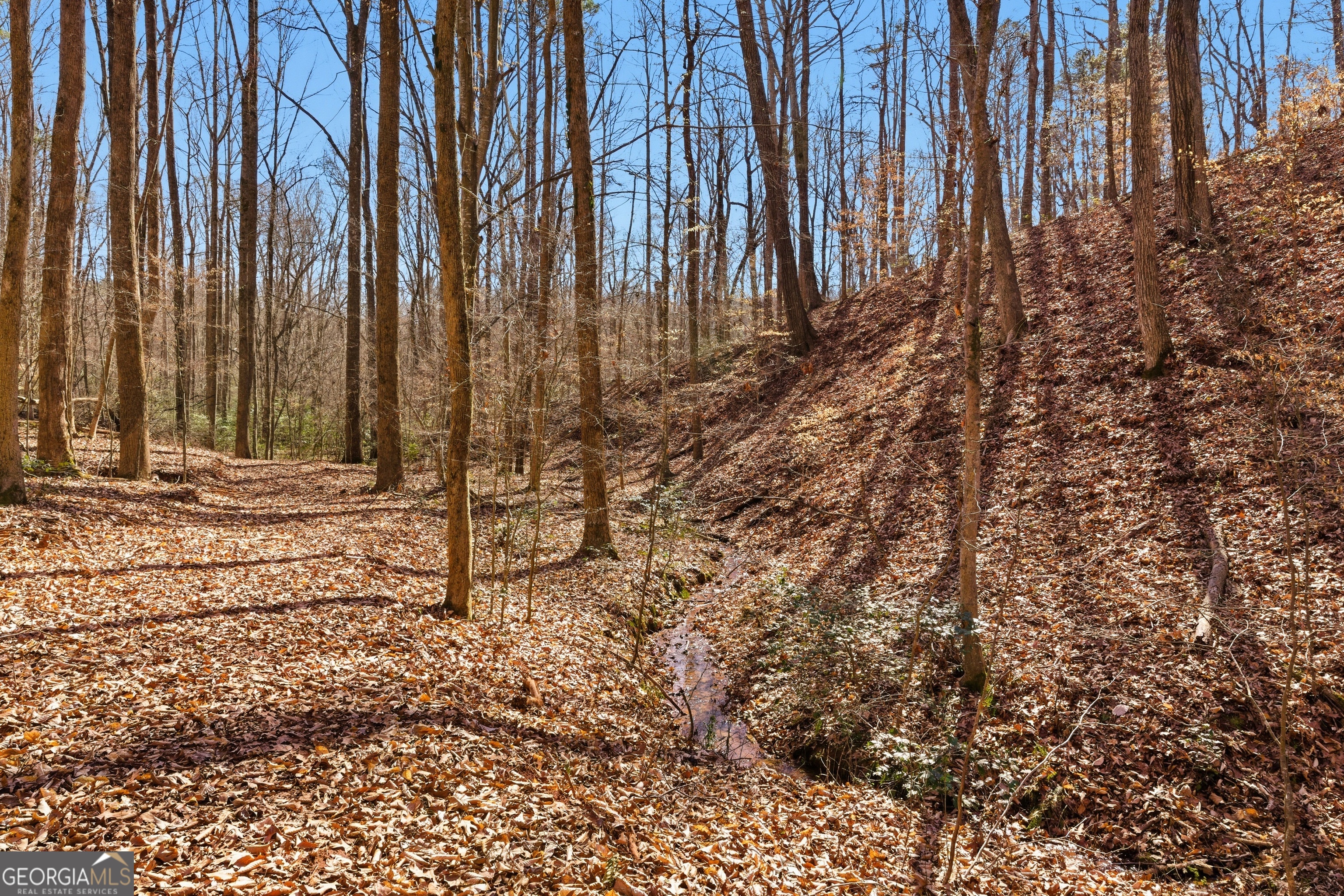 0 Davis Road Eastanollee GA 30538