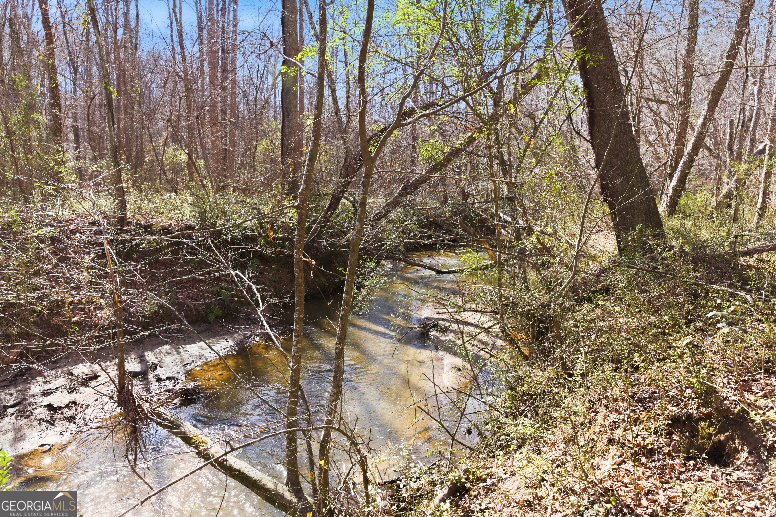 0 Davis Road Eastanollee GA 30538