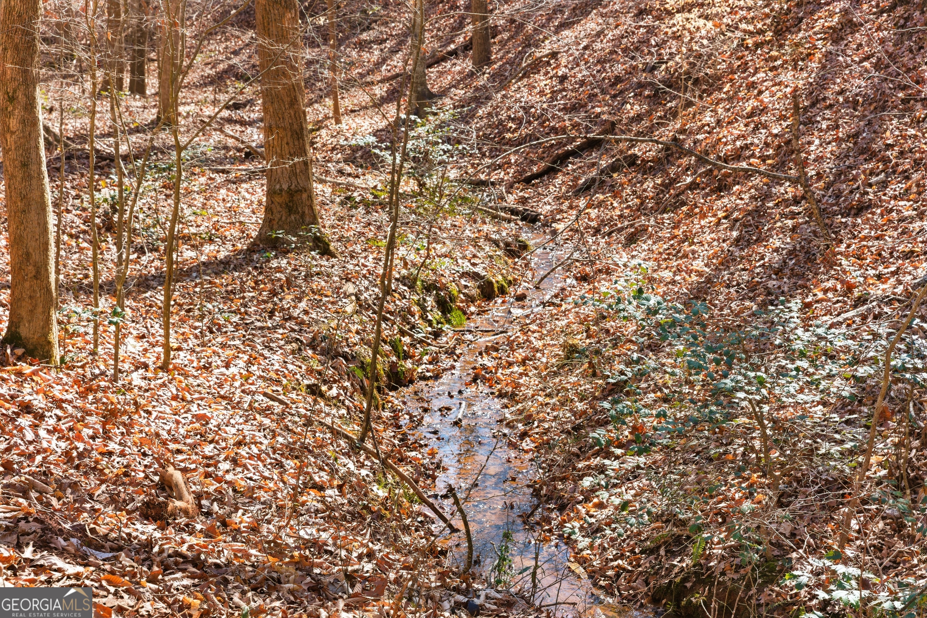 0 Davis Road Eastanollee GA 30538