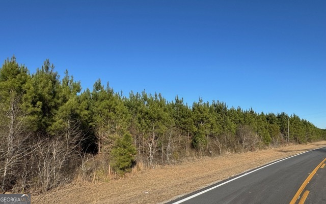 Lot 5 Whitfield Road Elko GA 31025