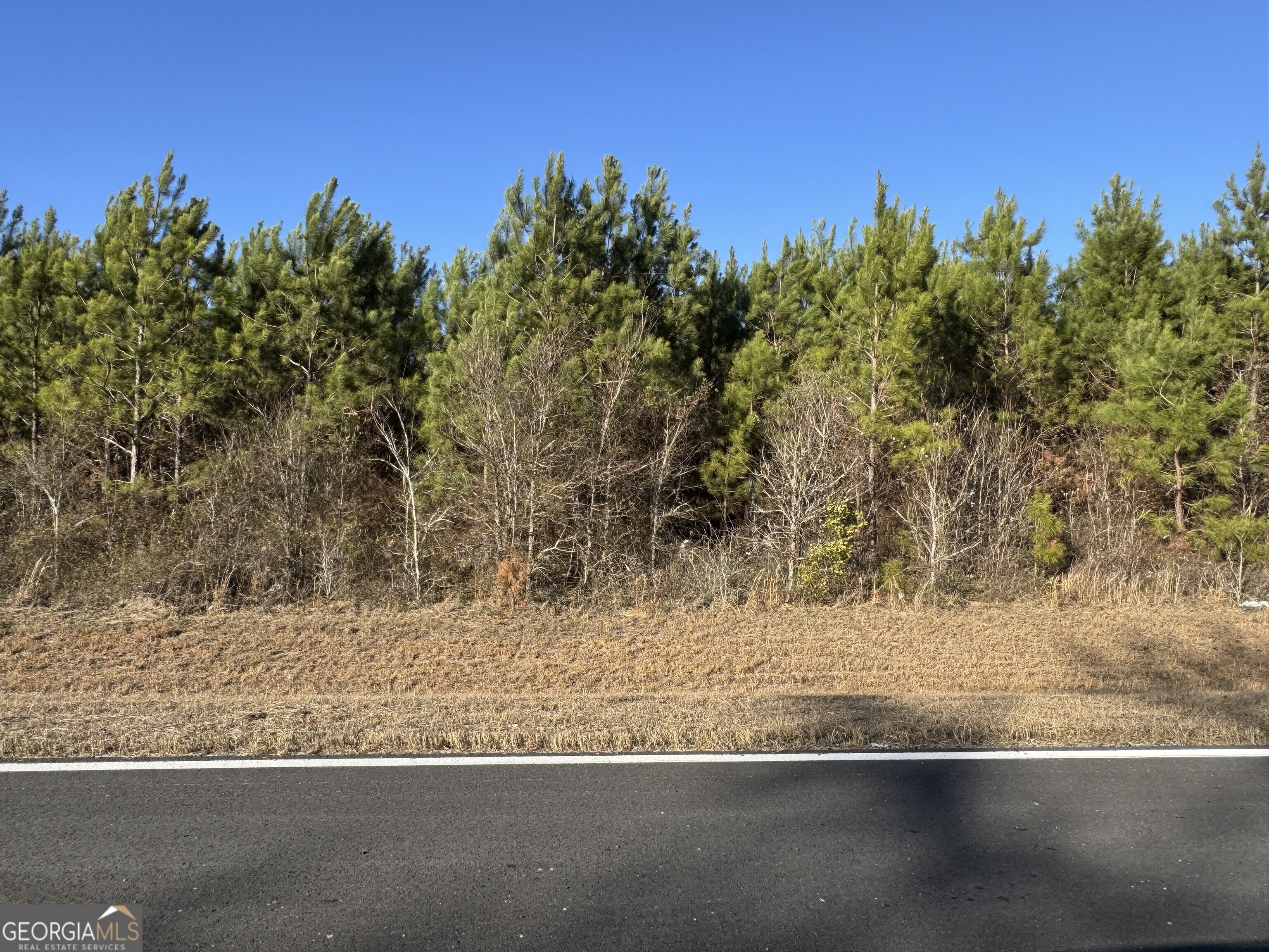 Lot 5 Whitfield Road Elko GA 31025