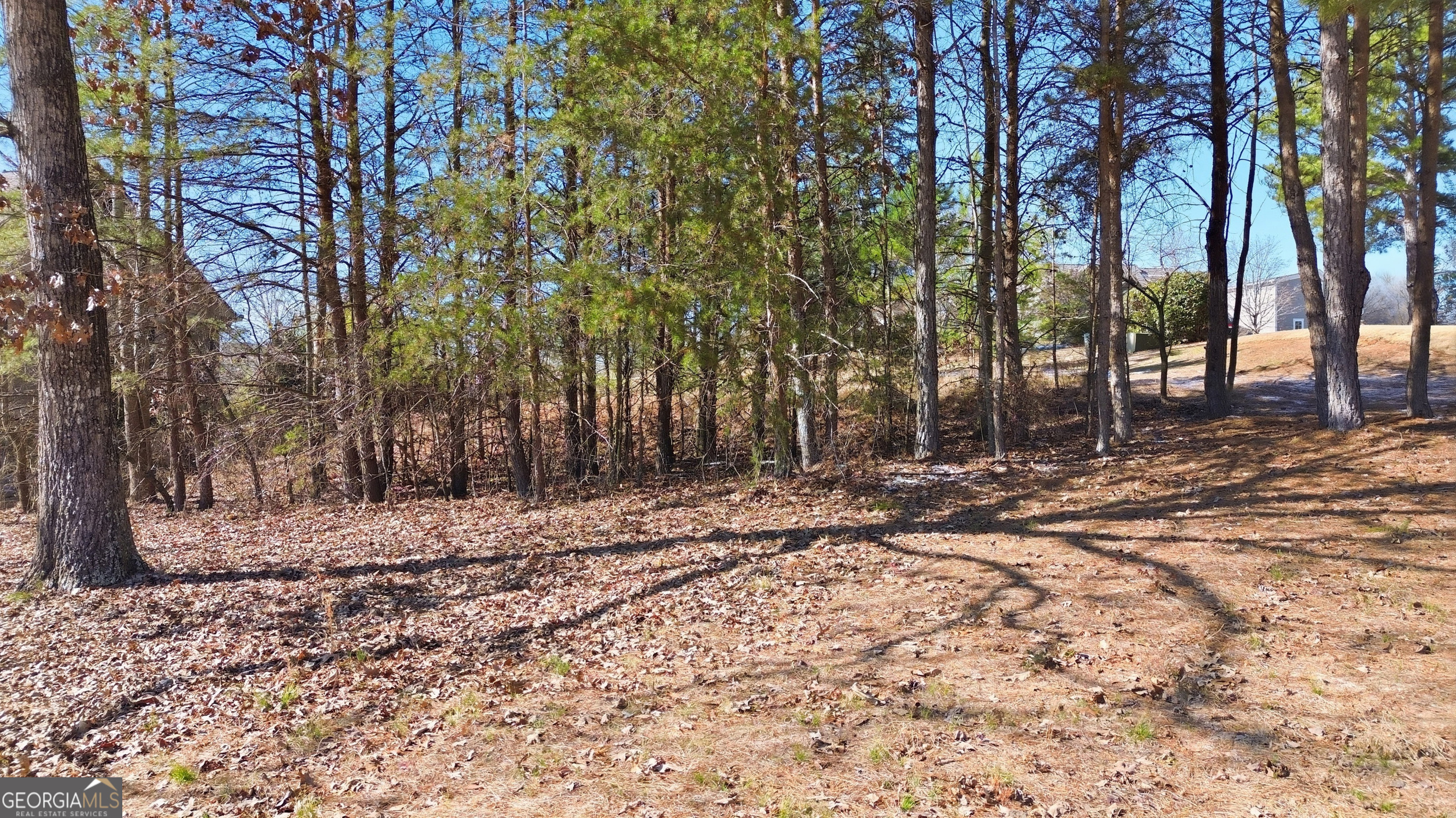 101 Cottage Lane Toccoa GA 30577