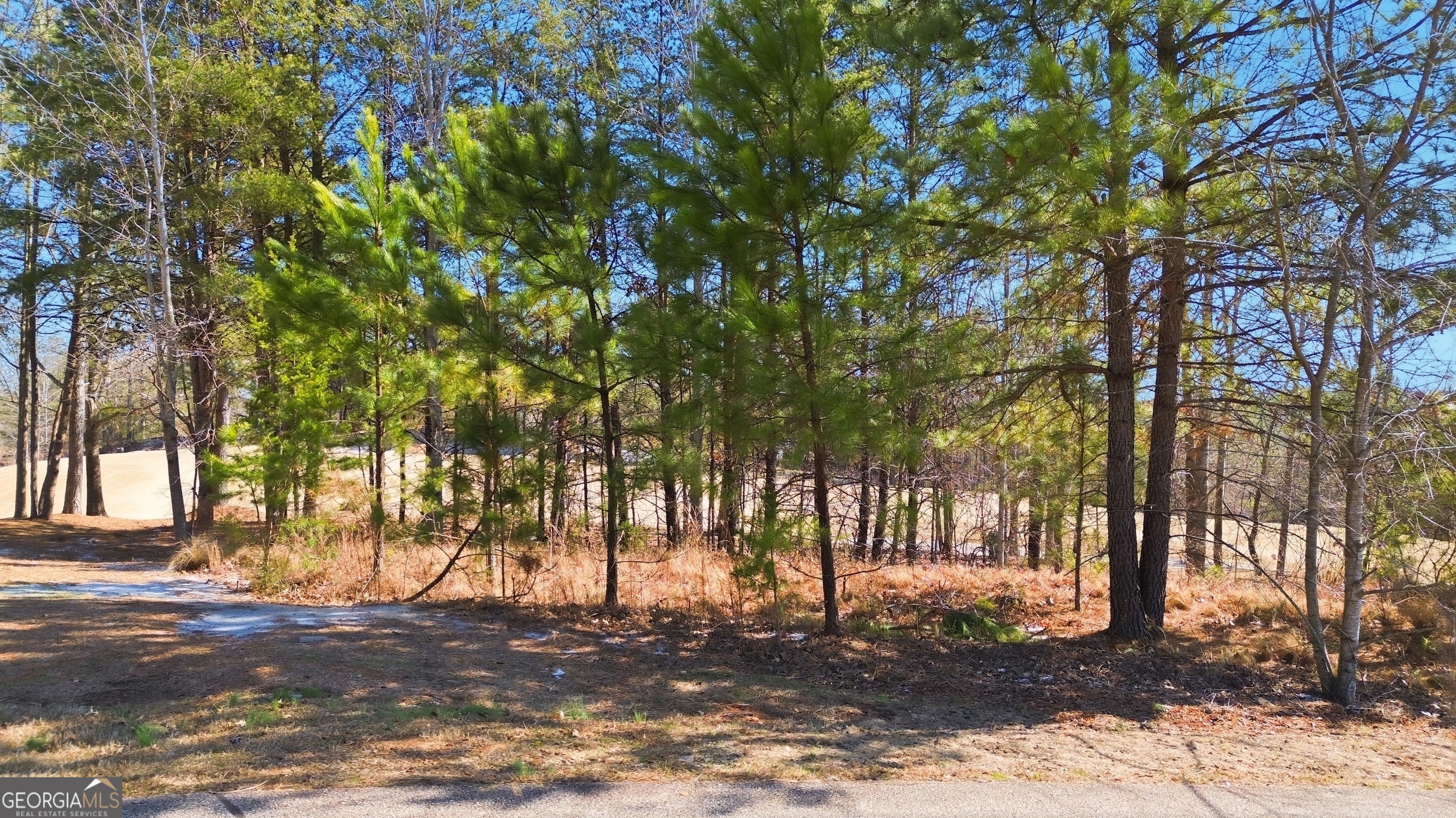 101 Cottage Lane Toccoa GA 30577