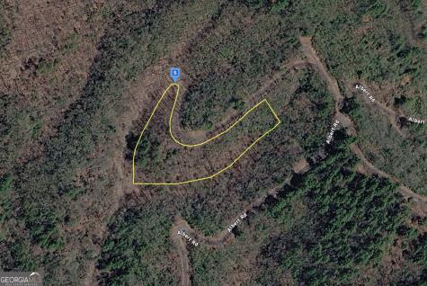 111 Albert Road Hiawassee GA 30546