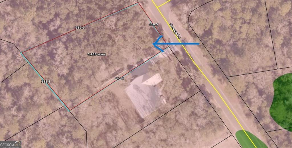 Lot 139 Canopy Lane Waverly GA 31565