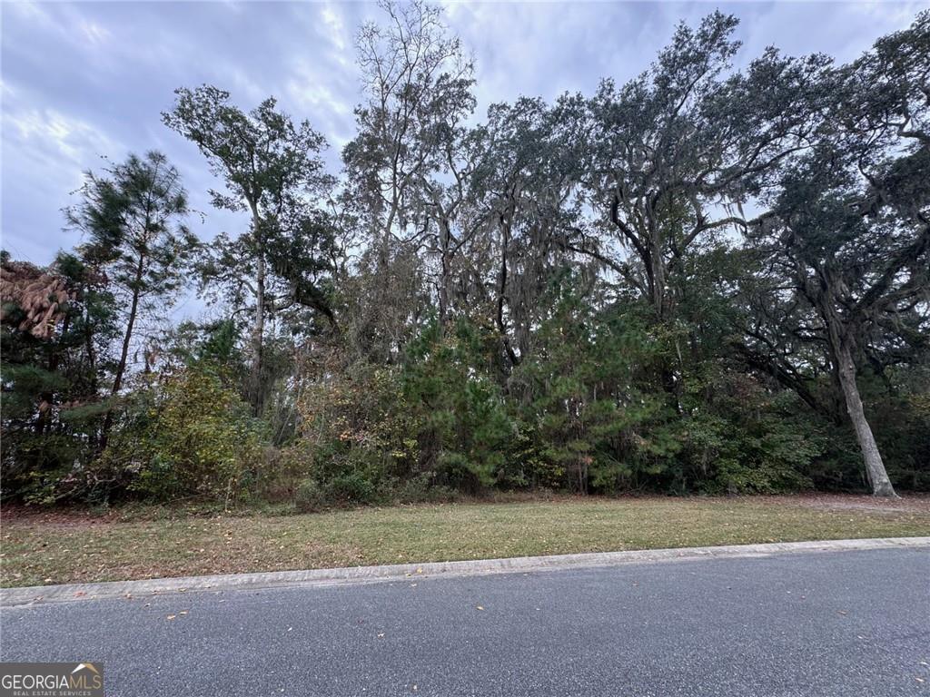Lot 139 Canopy Lane Waverly GA 31565
